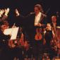1996 Festival de Sully sur Loire, Sinfonia Varsovia, P Przitoky 1.jpg
